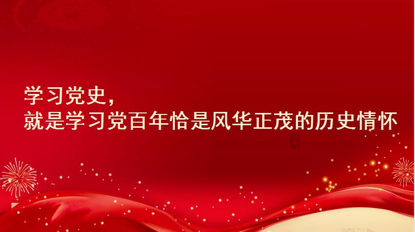 金牌保镖熊先生